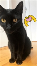 Molly