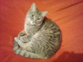 Norbert