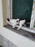 Kroshka