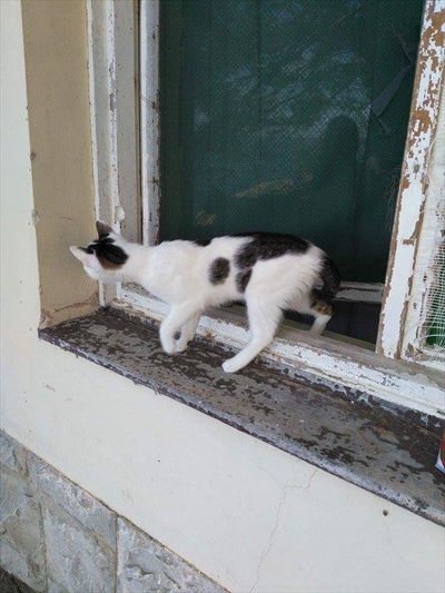 Kroshka