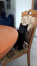 Blacky