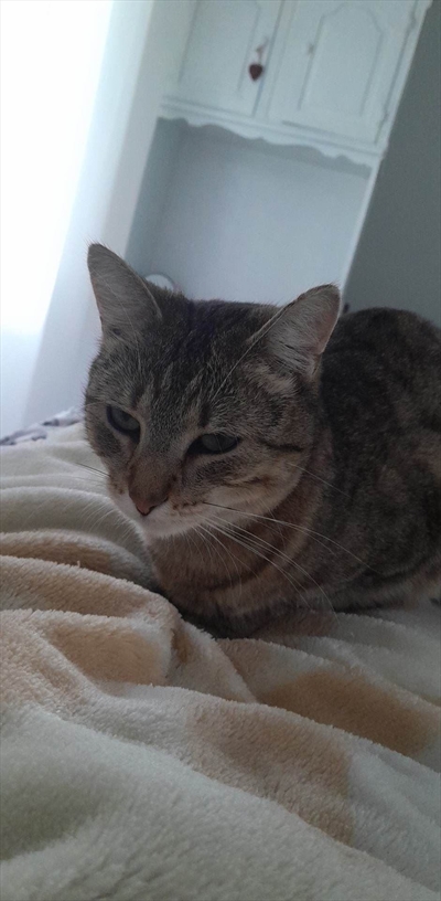 Kali