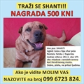 Shanti