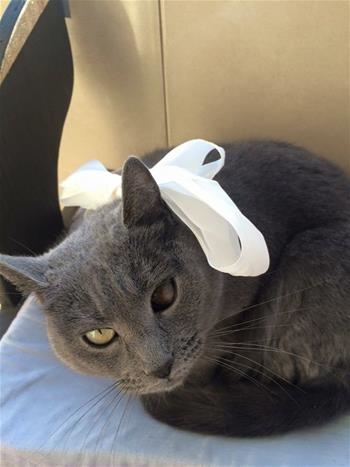 Dora
