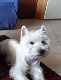 Charlie