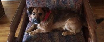 Roki