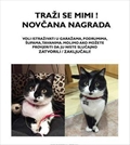 Mimi