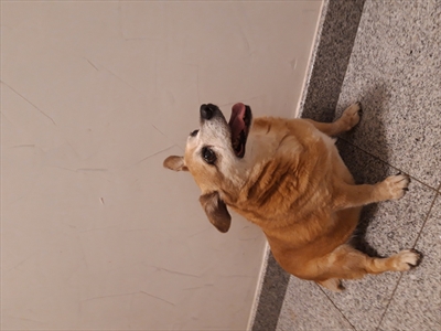 Una