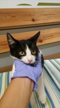 Muki
