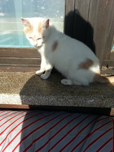 Mali