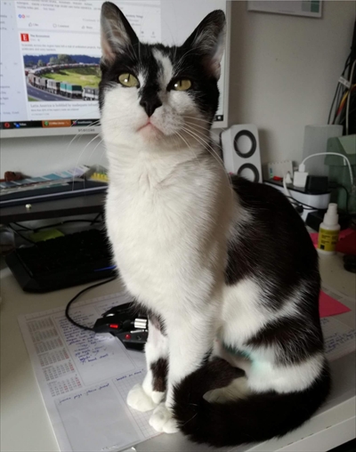 Esma