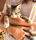 PETAR