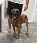 Deki