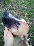 Roky