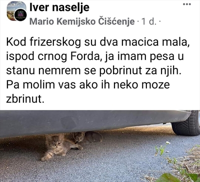 Čupka