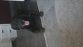 Jethro
