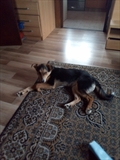 Max