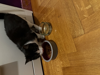 ZIMA