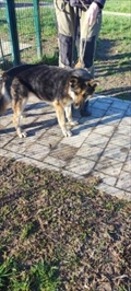 Kika