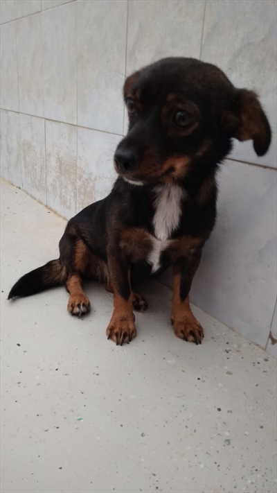 Lili