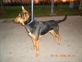 Roki