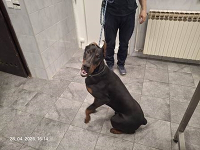 Panco