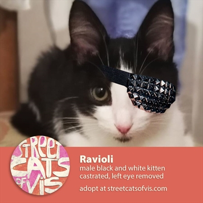 Ravioli 
