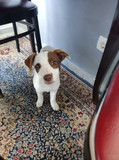 Bella