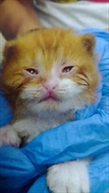 Bob