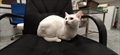 CASPER