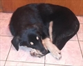 Mili
