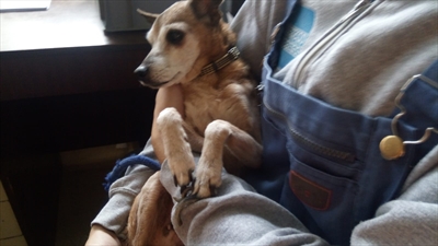 Ella