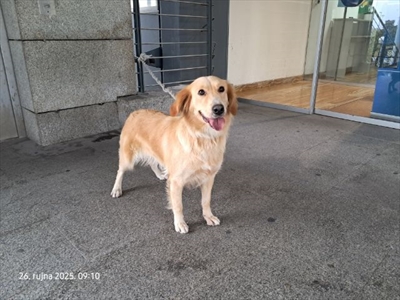 Gia