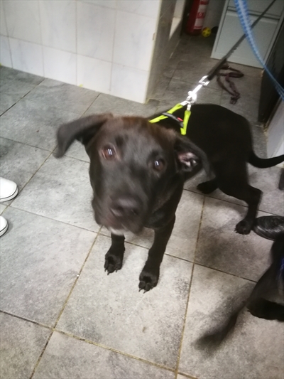 Max