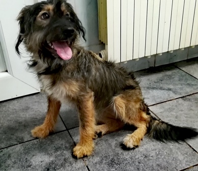 Tena