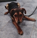 TUKO