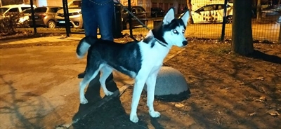 Luna