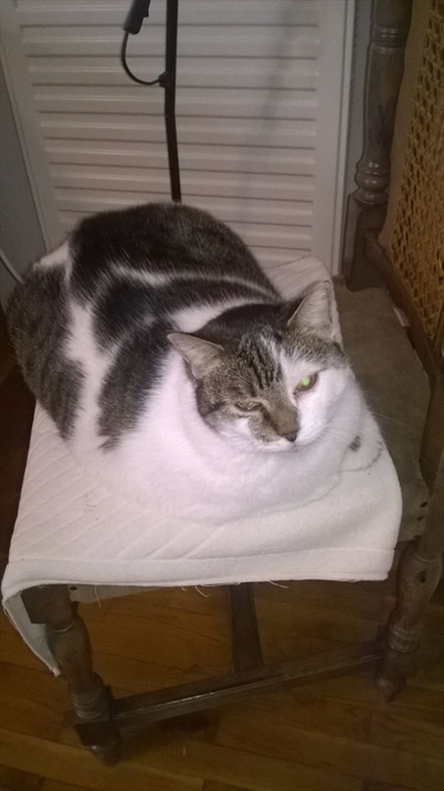 Mika