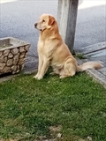 Don