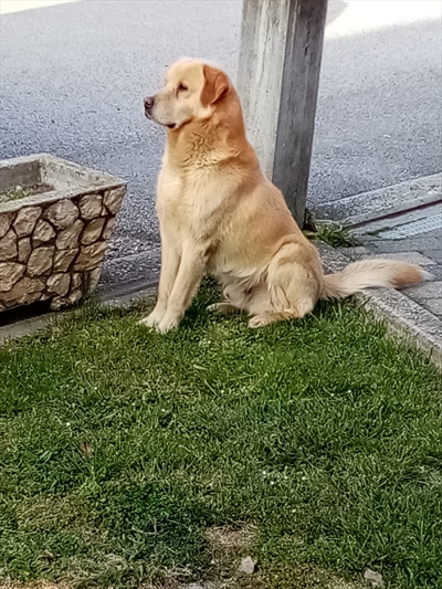 Don