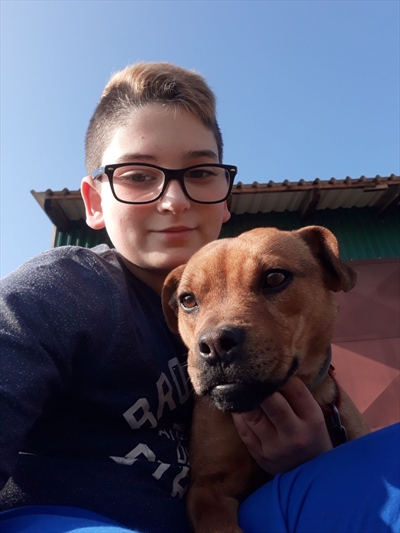 Šapica