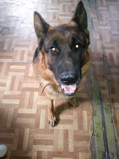 Riki