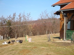 Imaju i zaklon ispod kućica i sijena