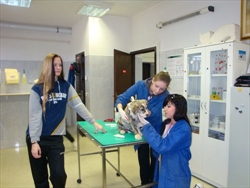 Sandra, Tajana&Marija