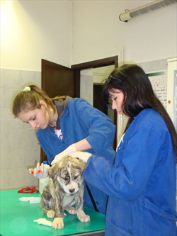Tajana&Marija