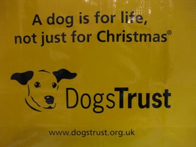 Dogs Trust u školi!