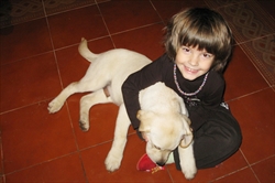 Unučica Vida u igri s malim Labradorom po imenu Picasso i prezmenu Mateš ili skraćeno Piki pl. Mateš