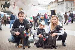 Roko (prvi pas slijeva) na akciji "Udomljavanje je fora" - pozira s volonterima i svojim prijateljima iz skloništa :)