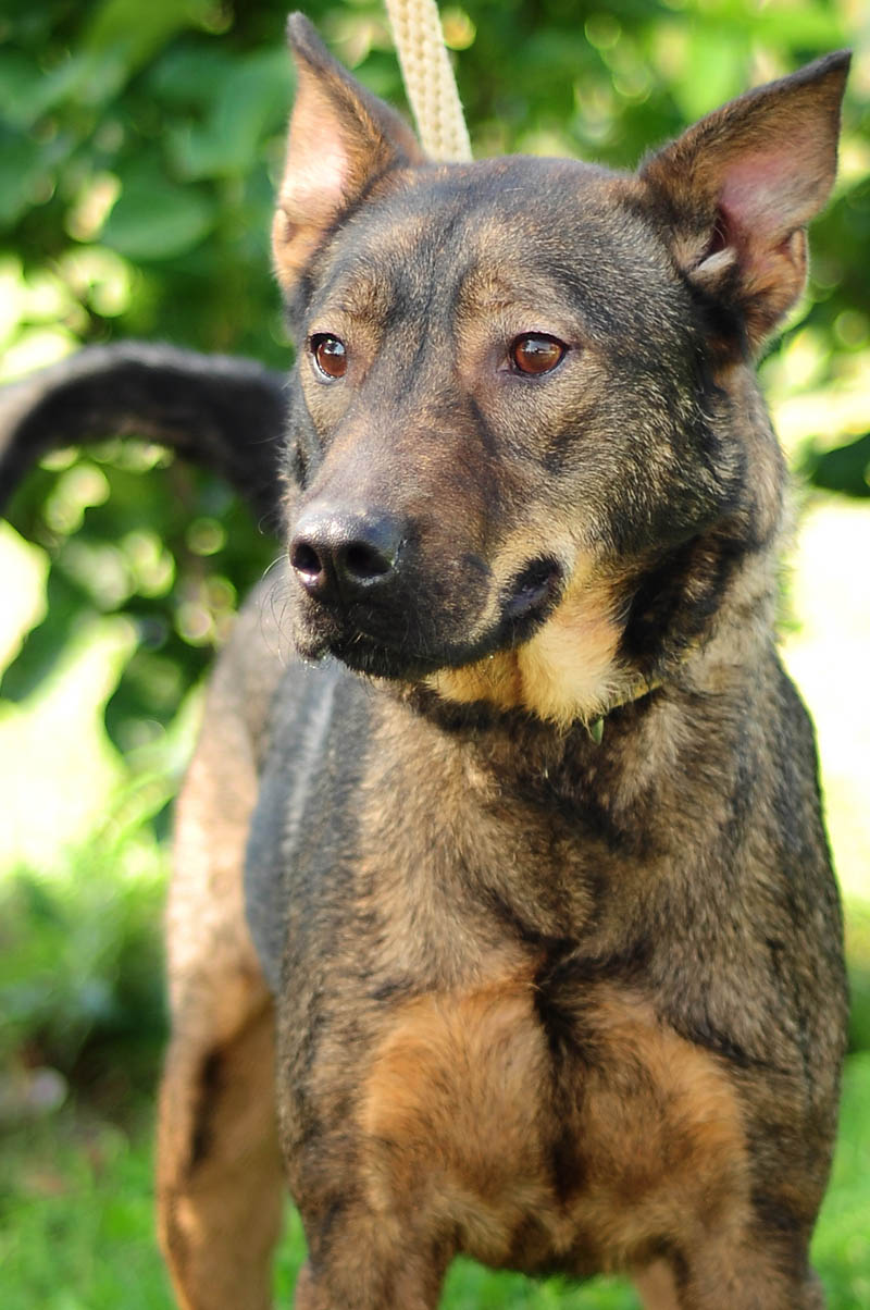 Kako špijunirati tuđi telefon